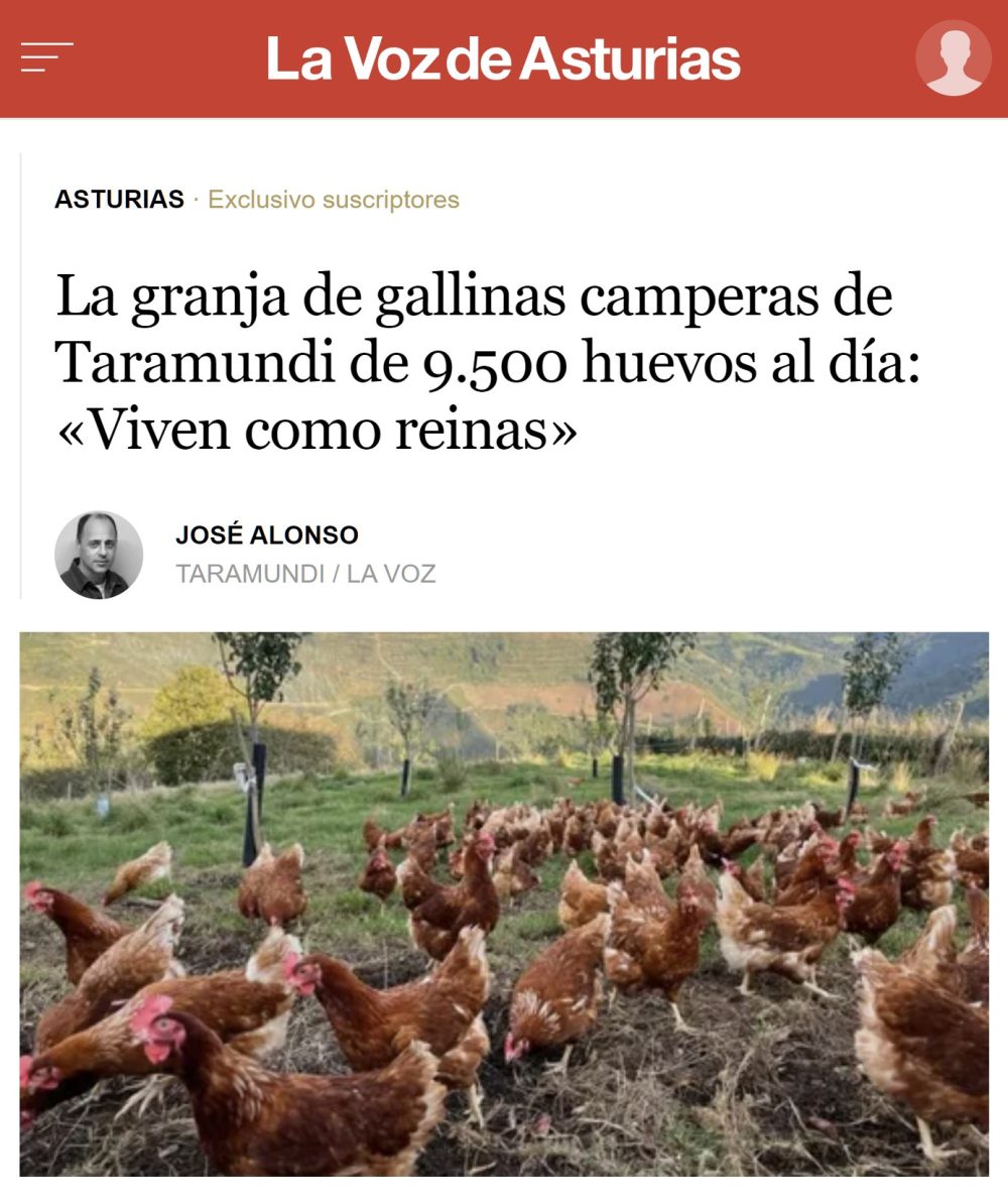 Las gallinas más felices del mundo viven en Taramundi (Asturias)