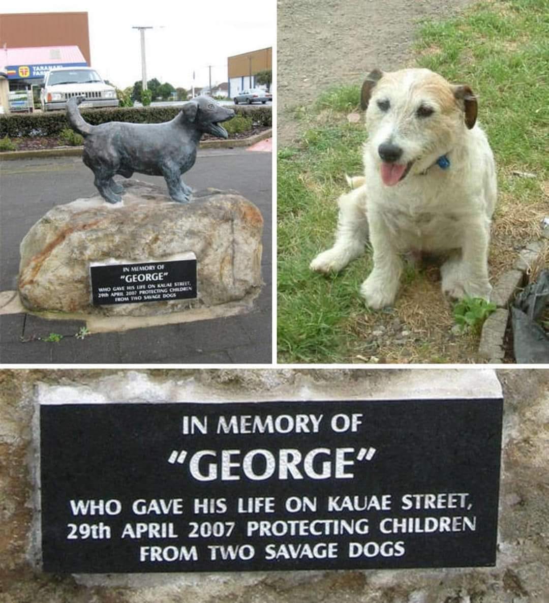 La estatua de George, el perrete dio su vida para salvar a varios niños del ataque de dos pitbulls