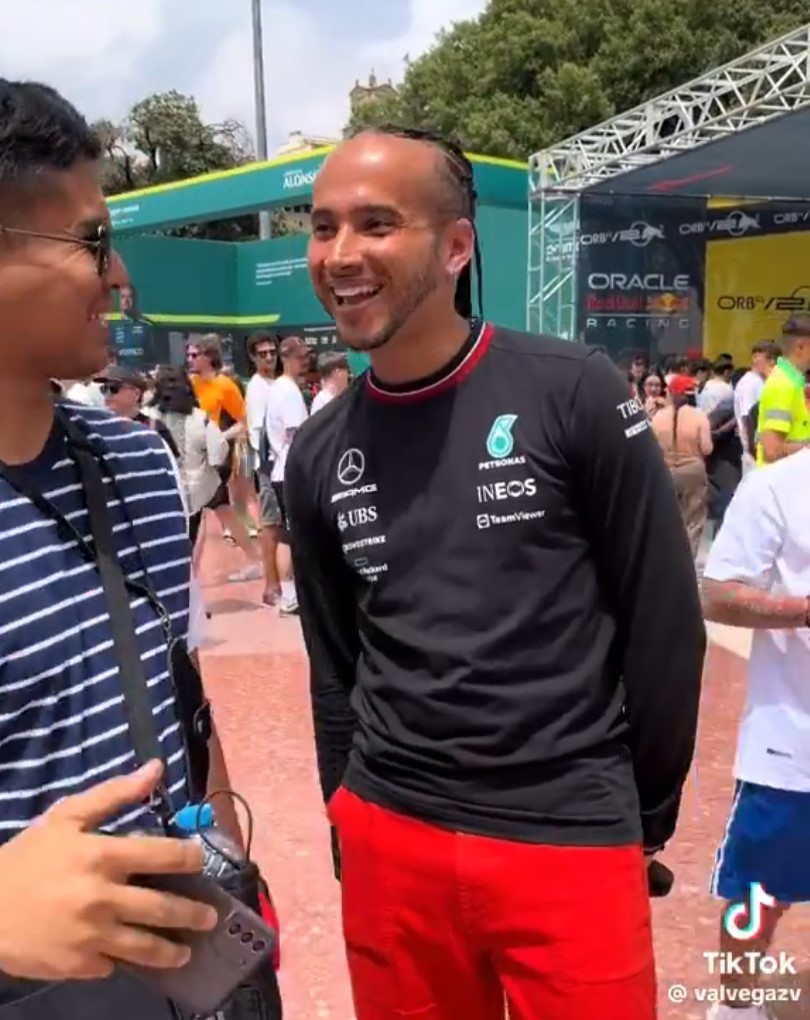 Lewis Hamilton del Aldi.