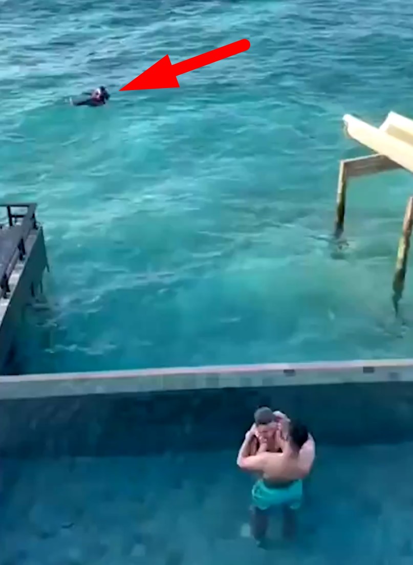 El jugador del Almería Sergio Arribas salva a una pareja que se estaba ahogando en las Maldivas.