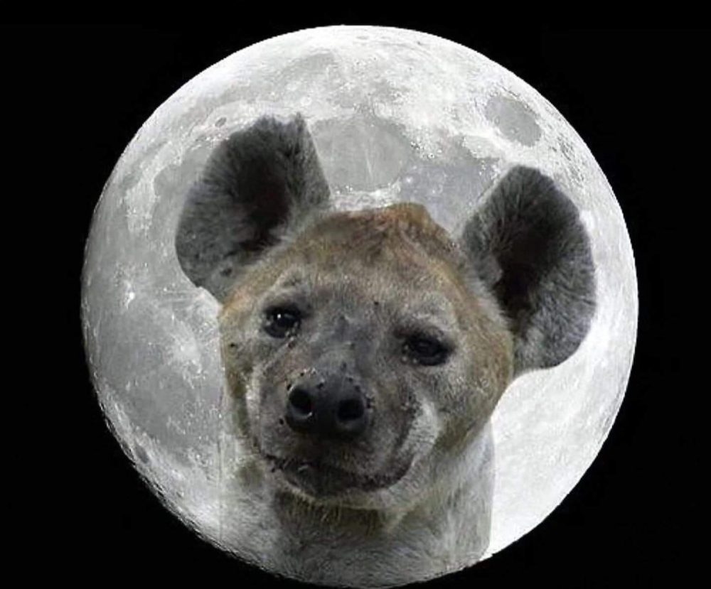 Luna hiena.