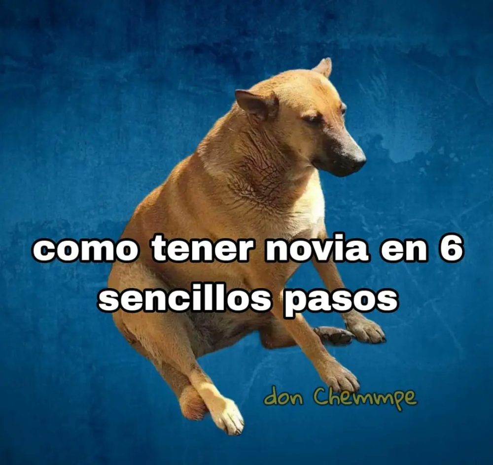 Cómo tener novia en 6 sencillos pasos.