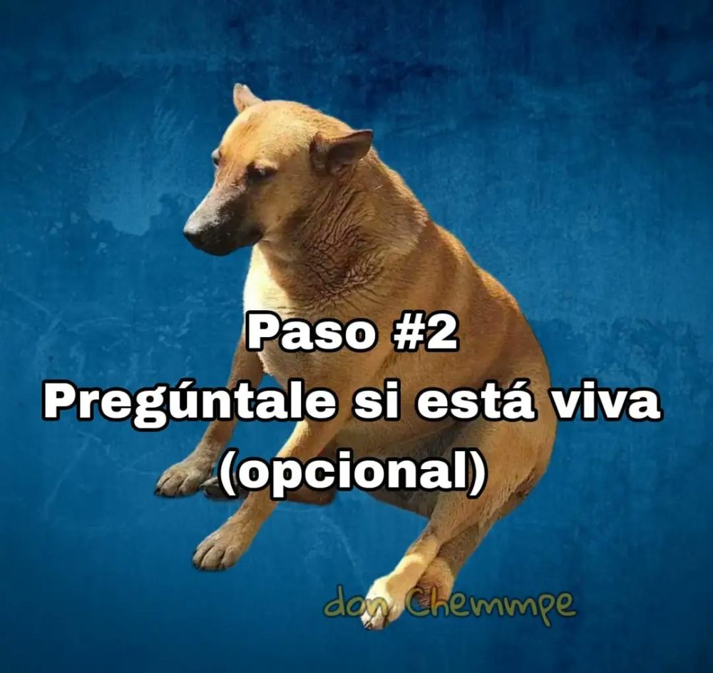 Cómo tener novia en 6 sencillos pasos.