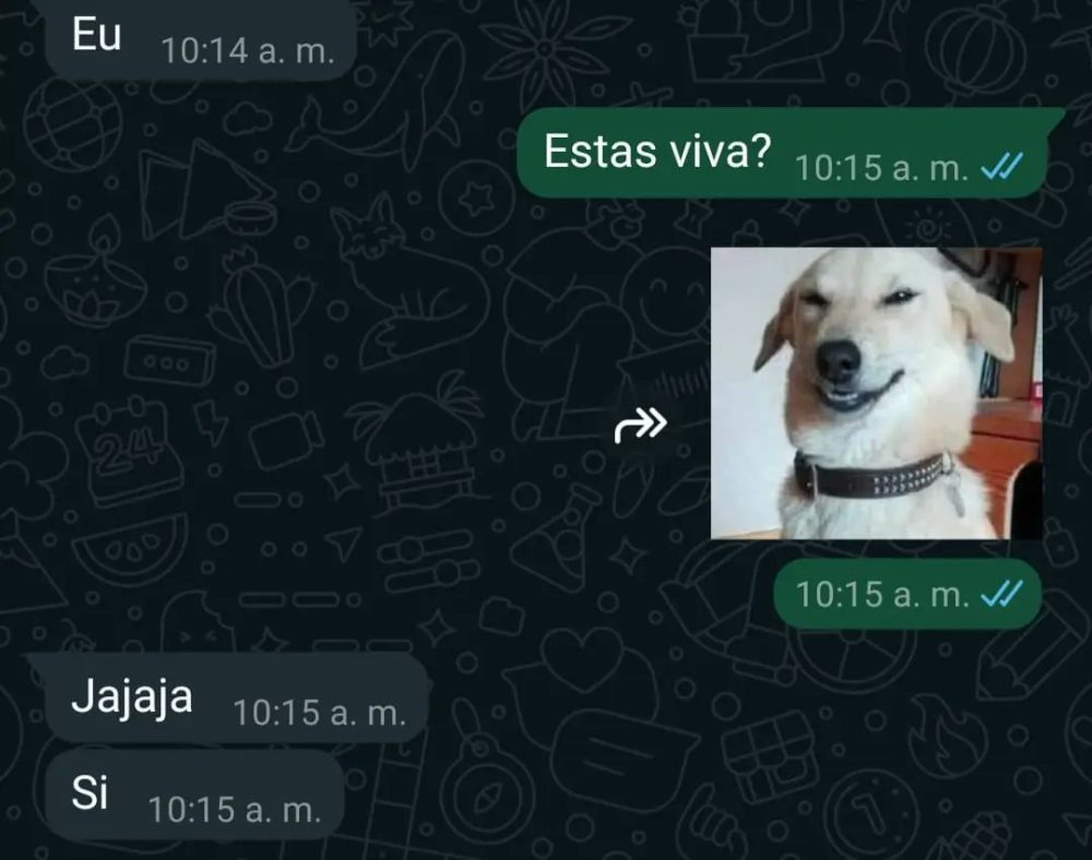 Cómo tener novia en 6 sencillos pasos.