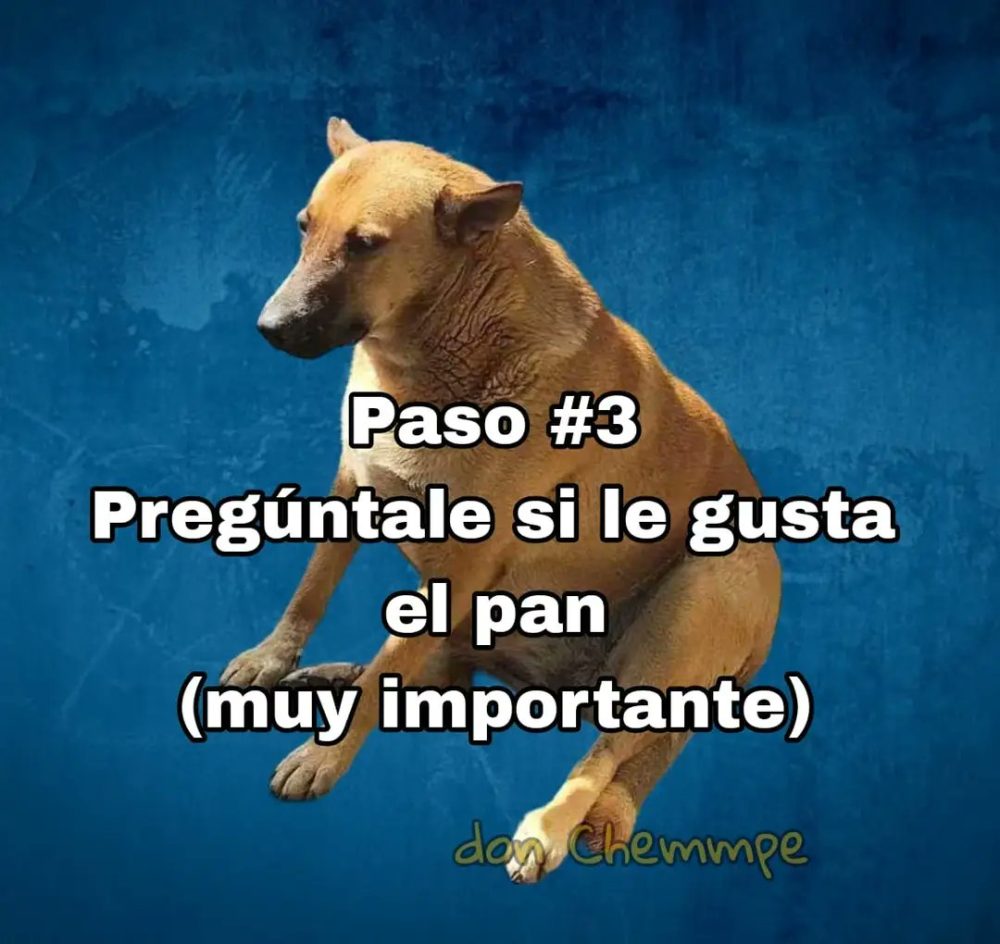 Cómo tener novia en 6 sencillos pasos.