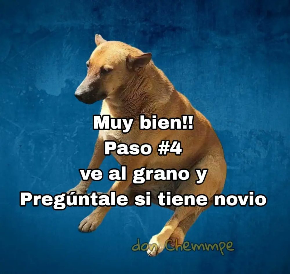 Cómo tener novia en 6 sencillos pasos.