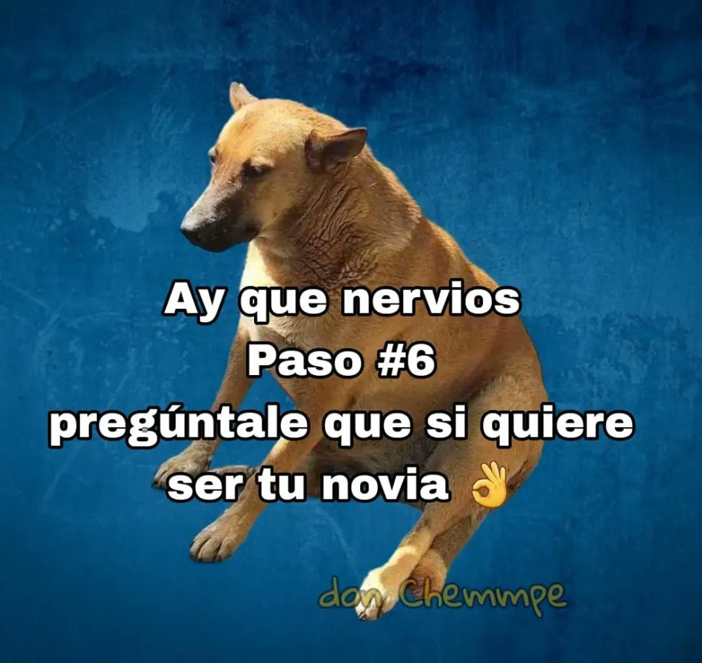 Cómo tener novia en 6 sencillos pasos.