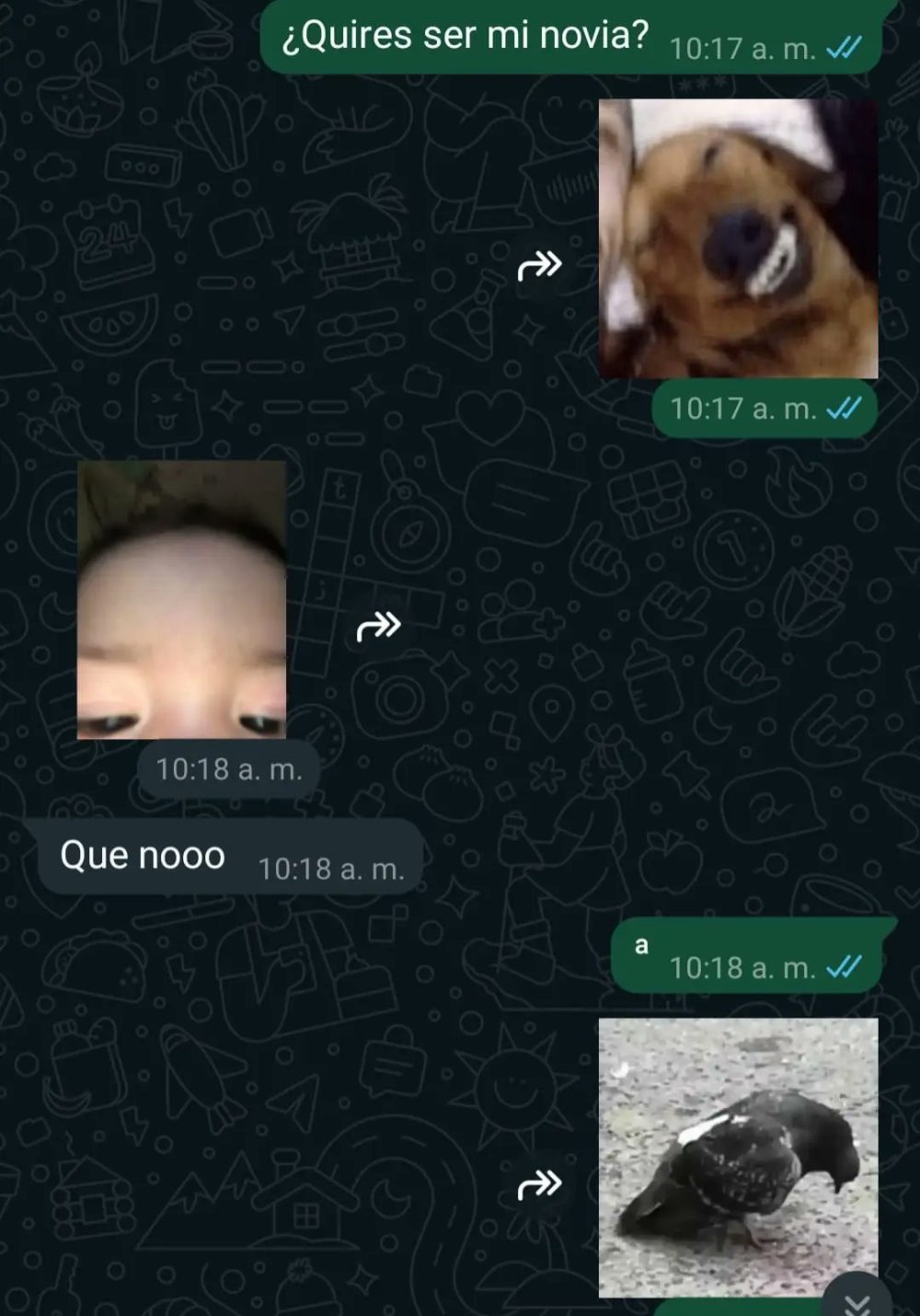 Cómo tener novia en 6 sencillos pasos.