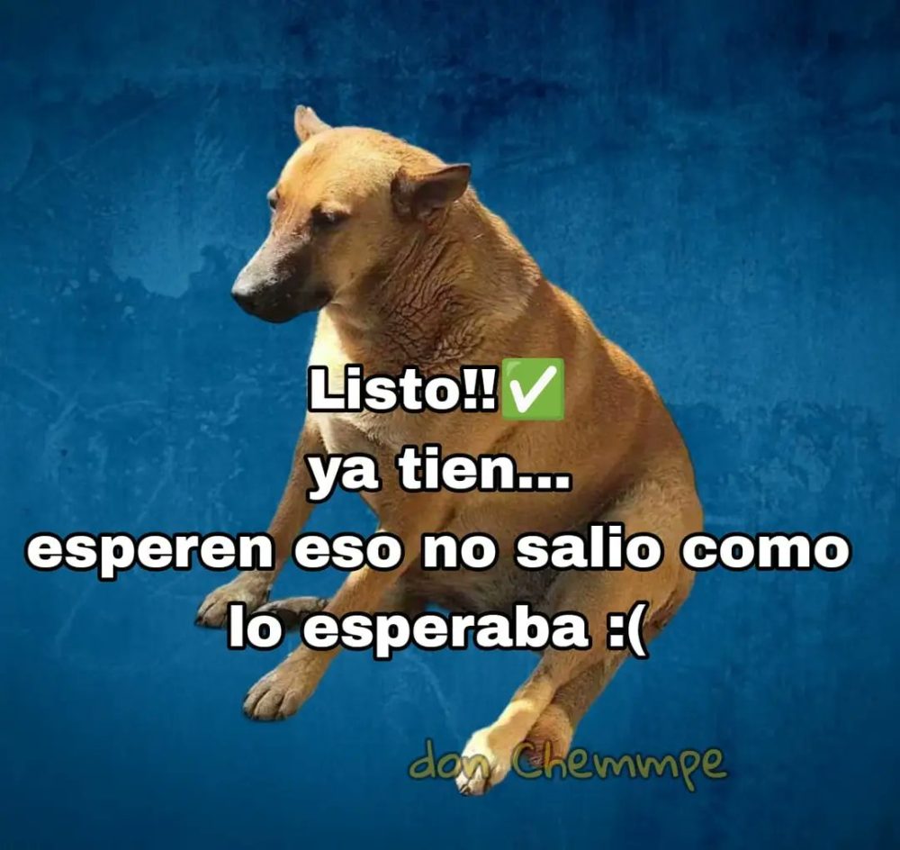 Cómo tener novia en 6 sencillos pasos.