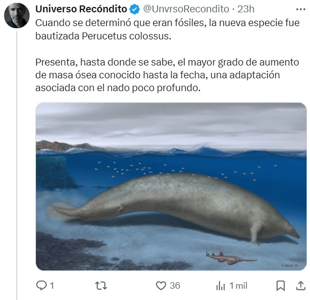 Con 30 metros y 180 toneladas, la ballena azul ha sido el animal más grande de todos los tiempos... Hasta ahora.