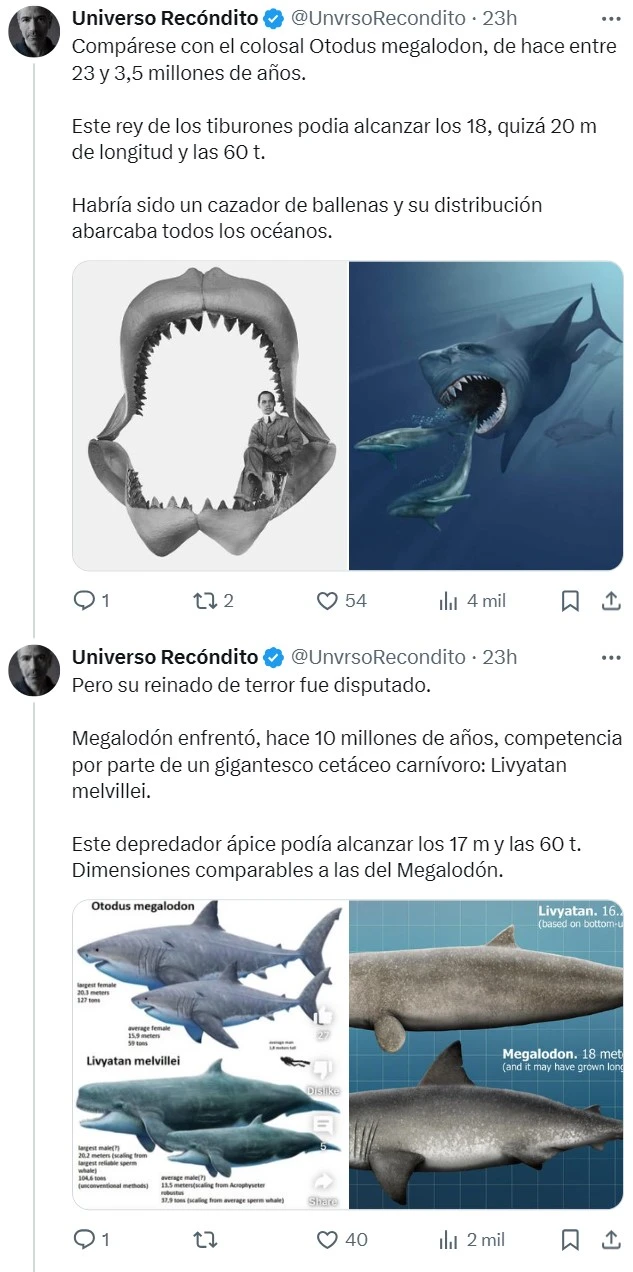 Con 30 metros y 180 toneladas, la ballena azul ha sido el animal más grande de todos los tiempos... Hasta ahora.