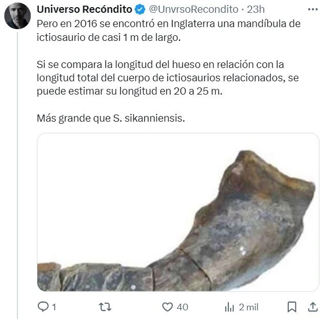 Con 30 metros y 180 toneladas, la ballena azul ha sido el animal más grande de todos los tiempos... Hasta ahora.