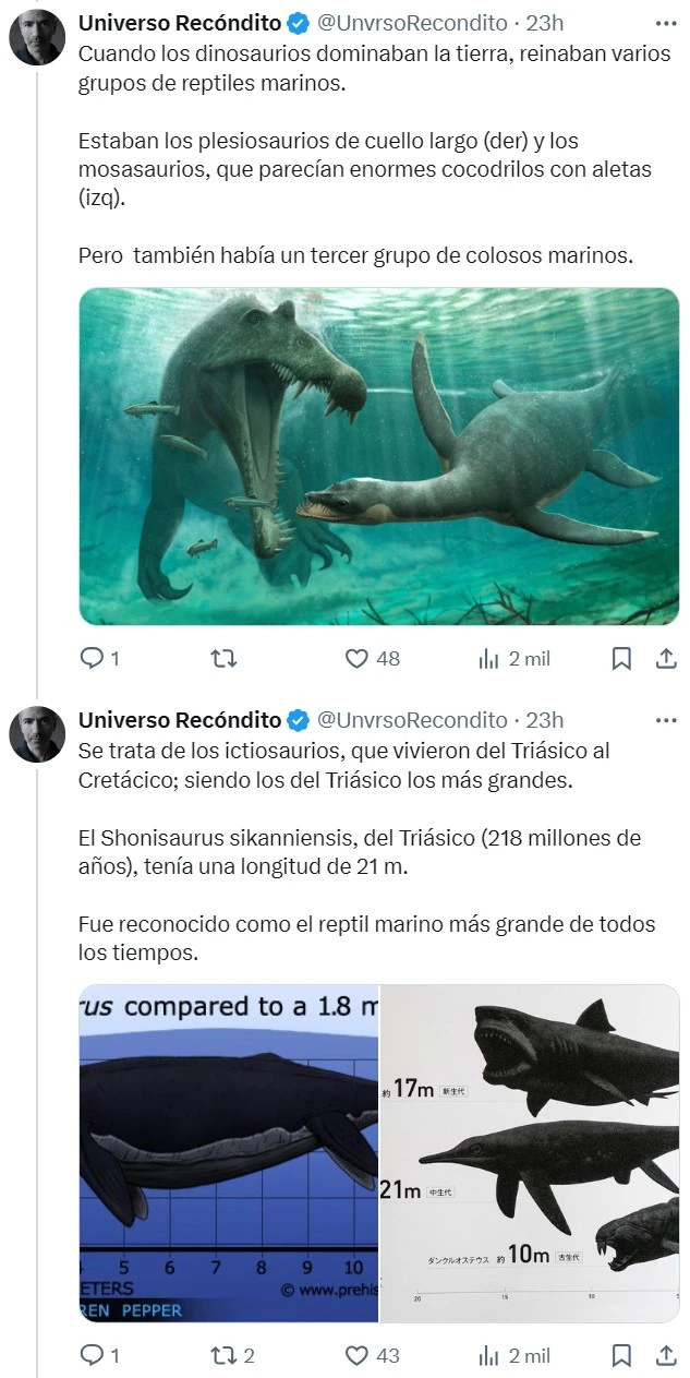 Con 30 metros y 180 toneladas, la ballena azul ha sido el animal más grande de todos los tiempos... Hasta ahora.
