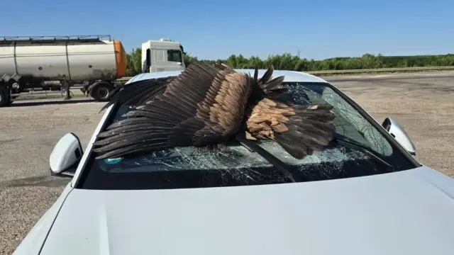 Las nuevas baterías LFP pueden cargarse al 80% en 10 minutos.