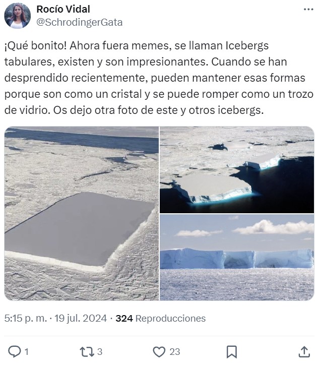 Mr Tartaria tenía razón...