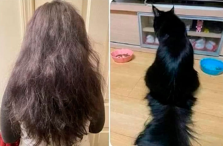 Tú usando champú, tratamientos, acondicionador, vitaminas y aceites.