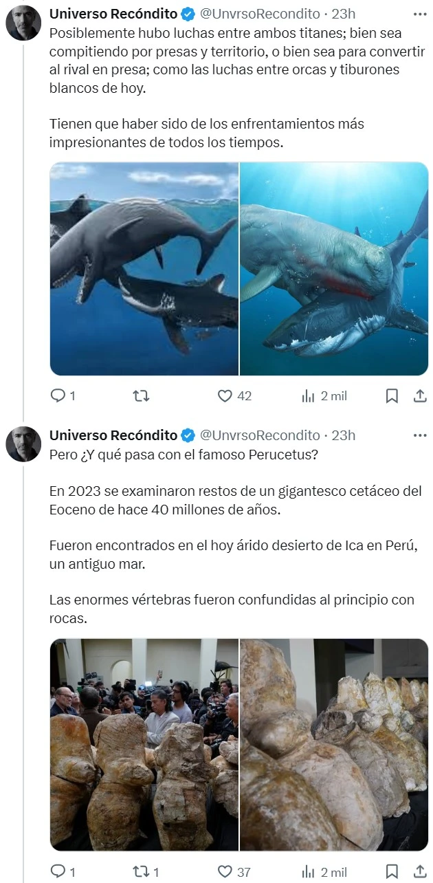 Con 30 metros y 180 toneladas, la ballena azul ha sido el animal más grande de todos los tiempos... Hasta ahora.