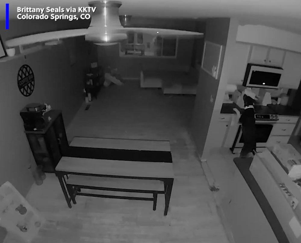 Esto me pasó a mí una vez con mi gato Salem. Encendió la vitro mientras yo estaba fuera de casa.