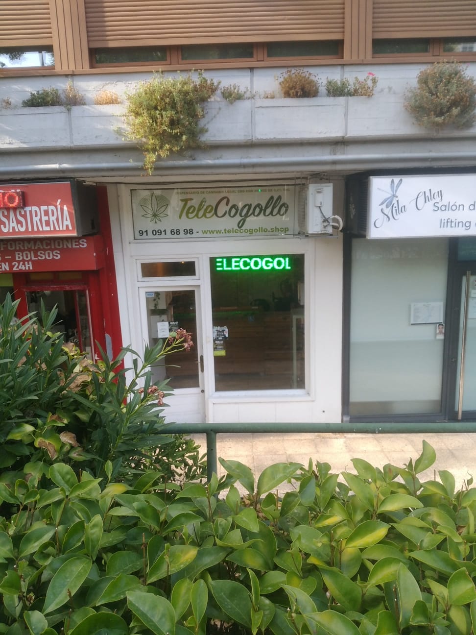 Y hoy en "mi cuñado te hace el logo más barato"...