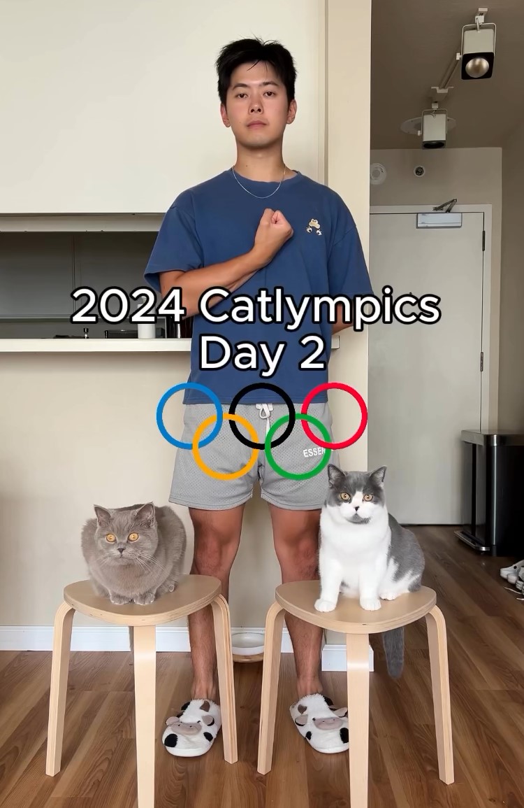 Bienvenidos a las GATOLIMPIADAS.