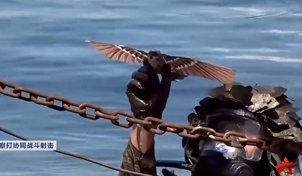 El nuevo dron que se hace pasar por un pájaro, diseñado para usarlo en el campo de batalla.