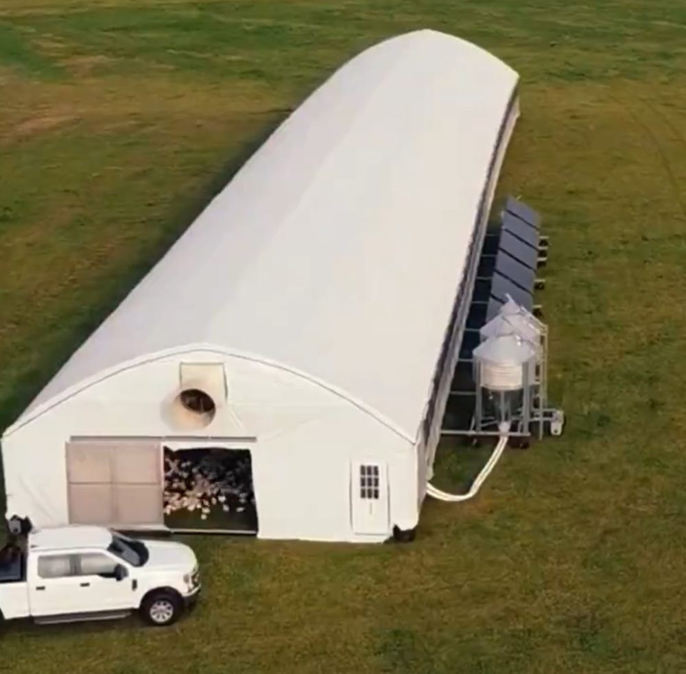 Nave avícola móvil para vender pollos más caros que... esos otros pollos que estáis pensando.