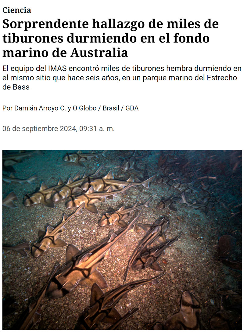 ¿Por qué será que no me sorprende nada tratándose de AUSTRALIA?