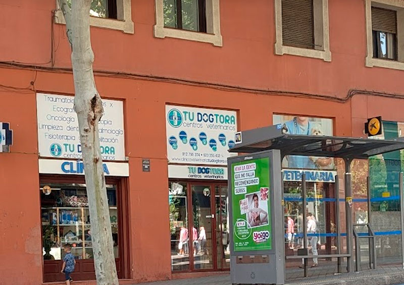 Masters of Naming visto en Madrid.