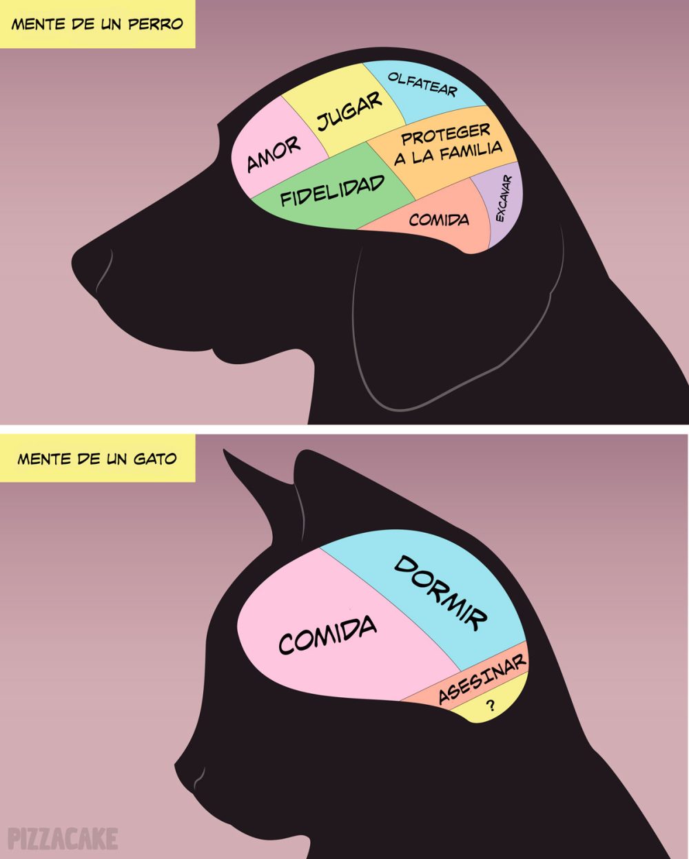 Mente de un perro vs mente de un gato.
