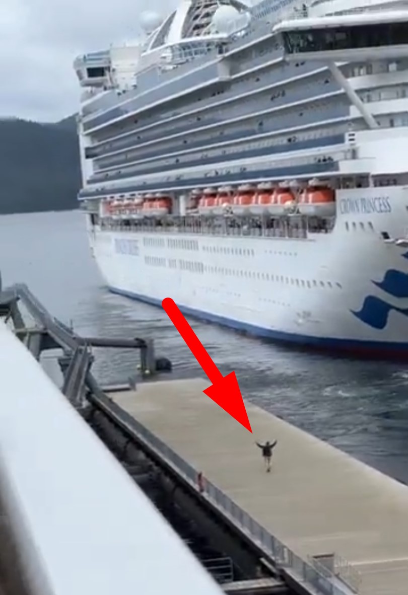 Llega tarde a su crucero y ve con іmpotencia cómo se aleja del puerto.