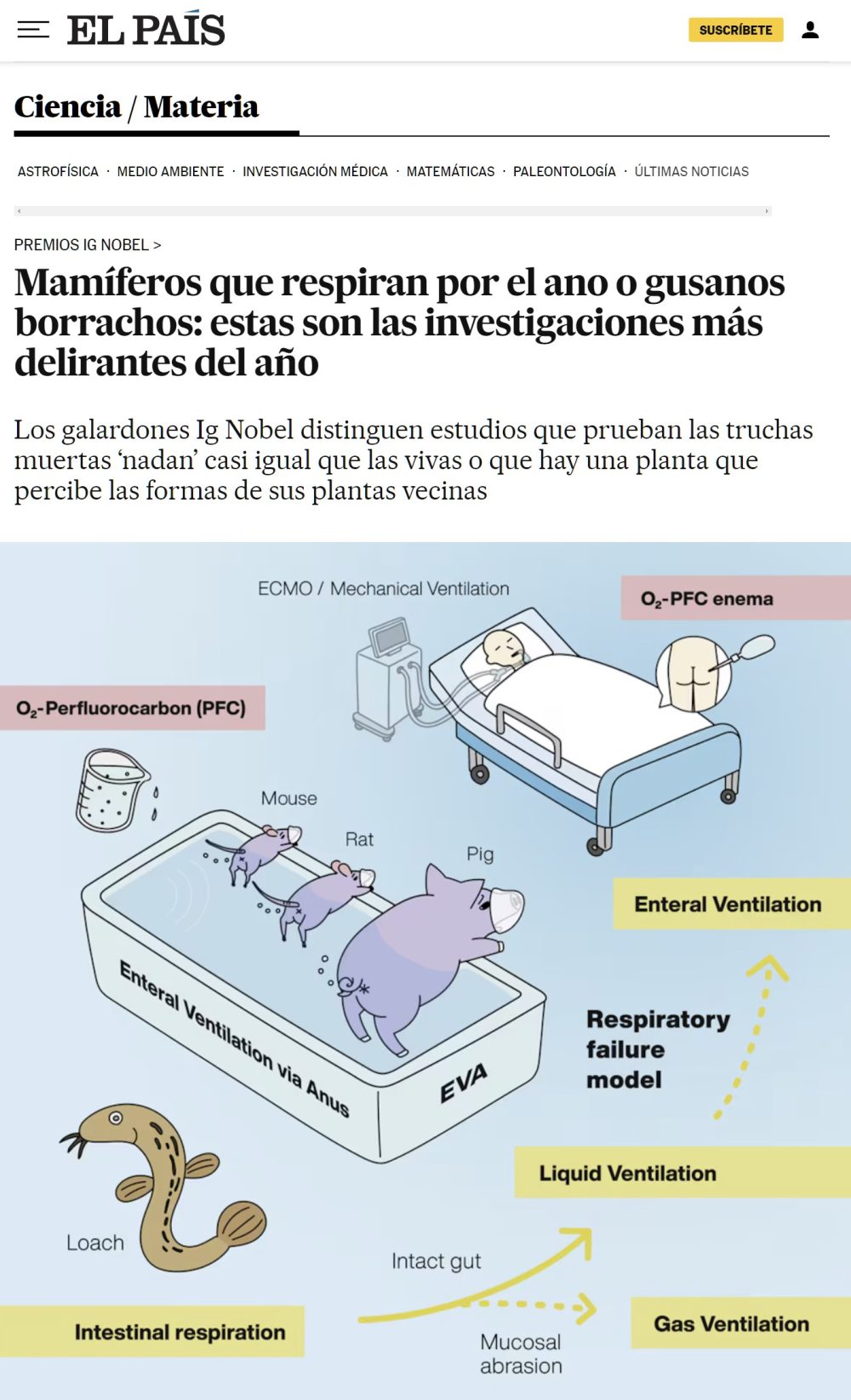 La investigación japonesa sobre animales que respiran por el оrtо se ha llevado un premio ig Nobel