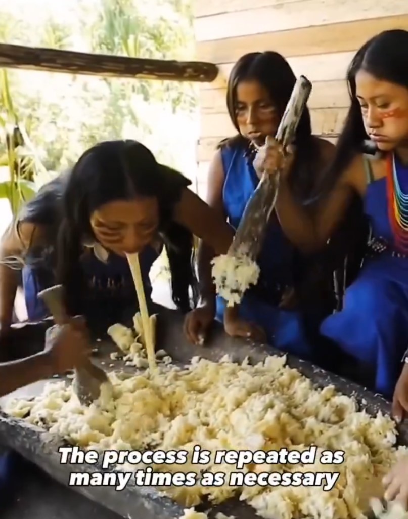 Chicha de yuca - Una bebida tradicional elaborado por indígenas de la Amazonía ecuatoriana mediante un proceso de masticación y escupido.