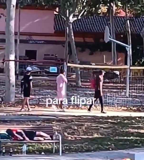 3 agradables sujetos miran con atención a dos mujeres que hacen yoga en el parque.