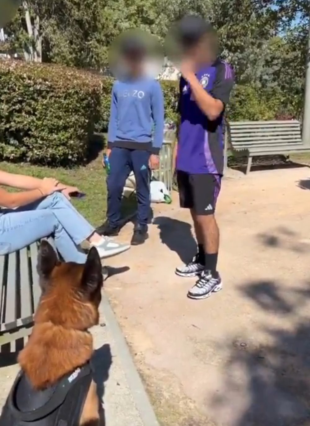 Un tipo con un pastor alemán se acerca a dos agradables sujetos que estaban molestando a una chica en un parque de Francia.