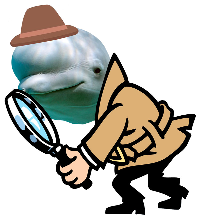 Me llamo Uga, Bel Uga.