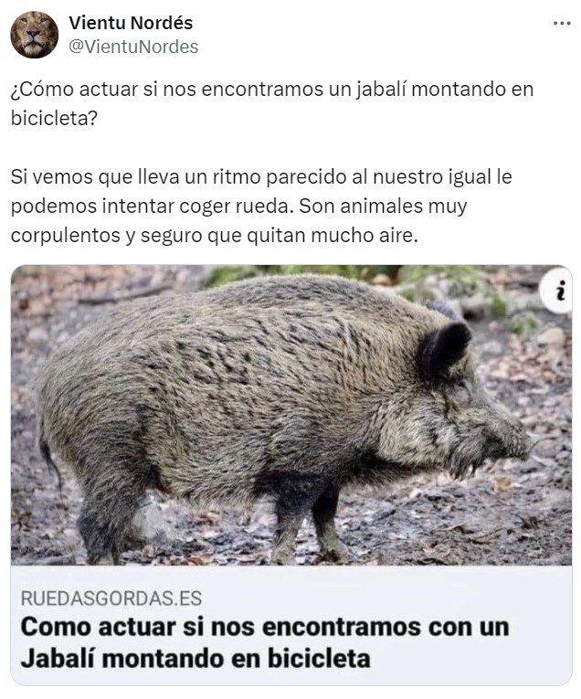 Saco el móvil y lo grabo, que luego nadie me cree.