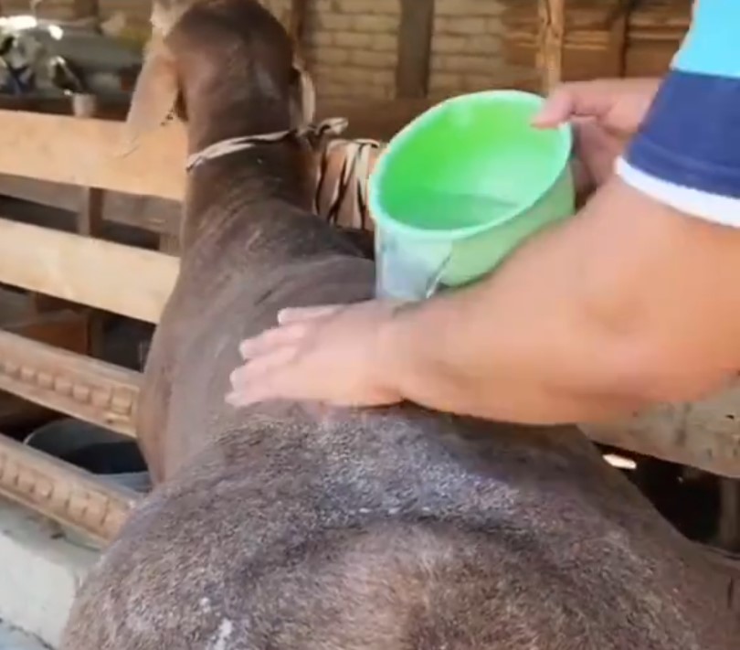 Si yo lo he visto, vosotros también.