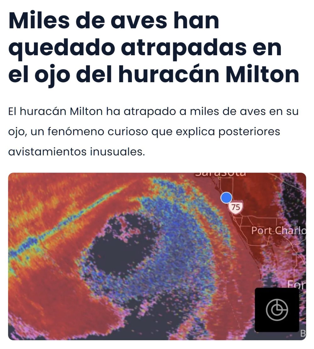 Observan miles de aves atrapadas dentro del ojo del huracán Milton.