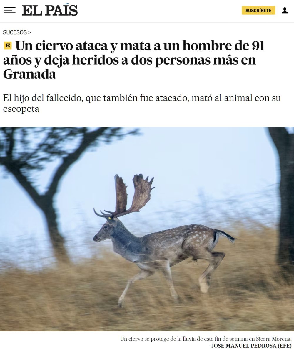 El Supremo reconoce a las familias monoparentales poder disfrutar del doble del permiso de maternidad.