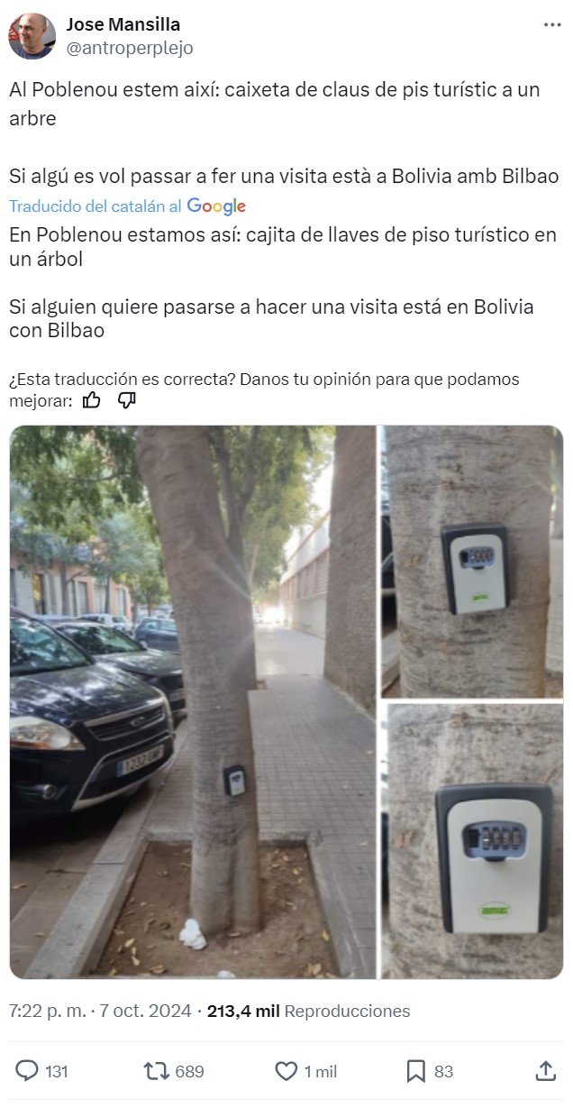 Han atornillado un candado de una vivienda turística al árbol. A un árbol.