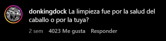 "Mis caballos son familia".