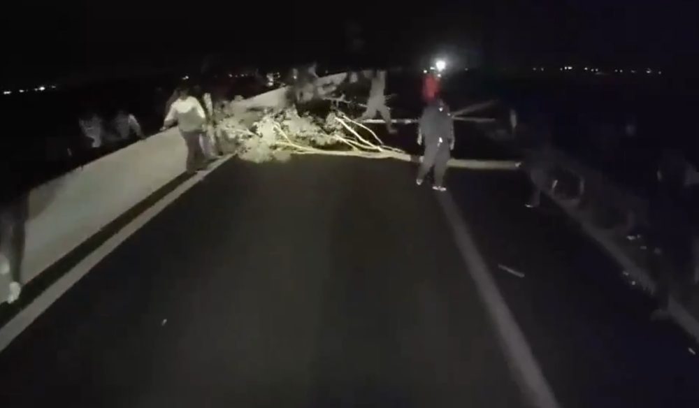Un grupo de aproximadamente 40 o 50 inmigrantes africanos le hizo una emboscada a un camión en un puerto de Francia e intentaron presuntamente robarlo para llegar al Reino Unido.