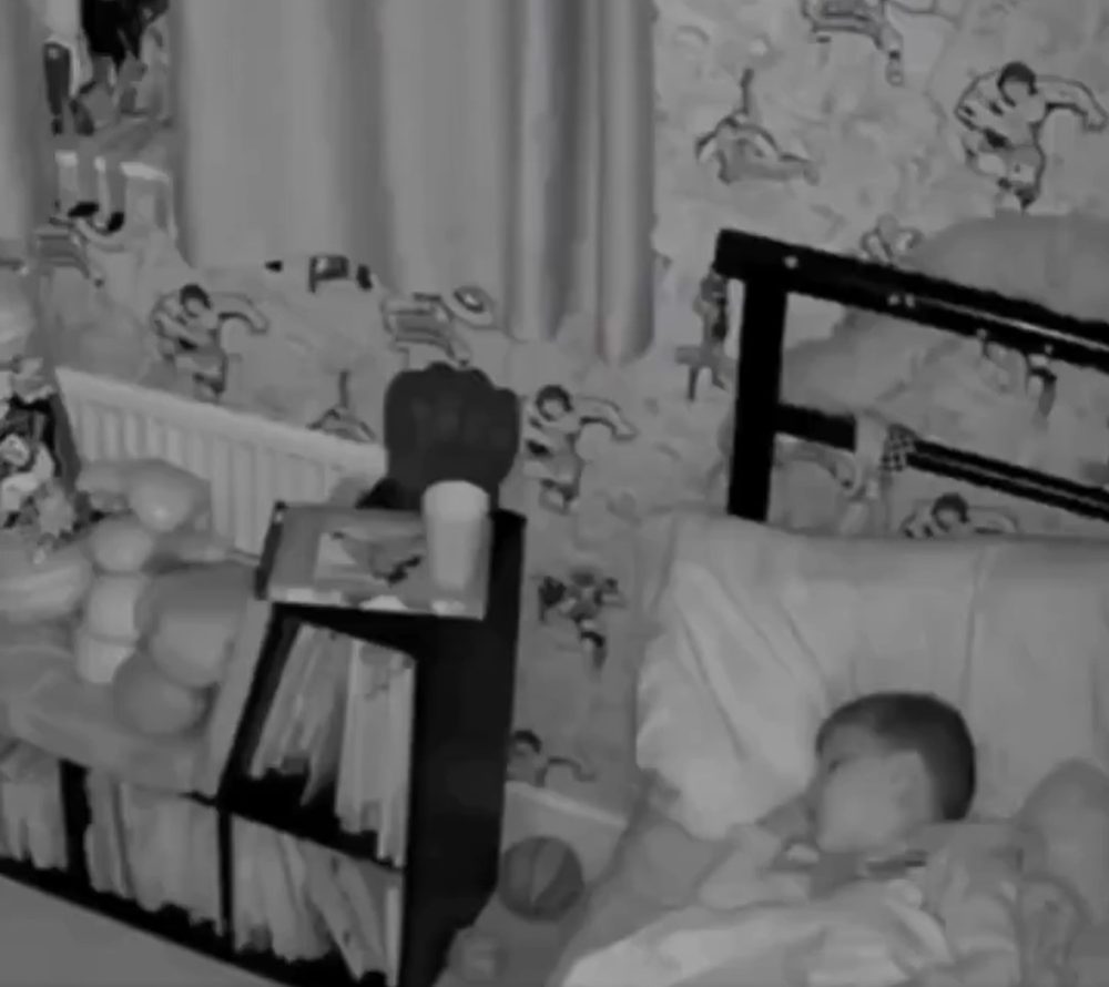 Los dueños no sabían por qué el gato no dormía en su cama, entonces vieron esto.