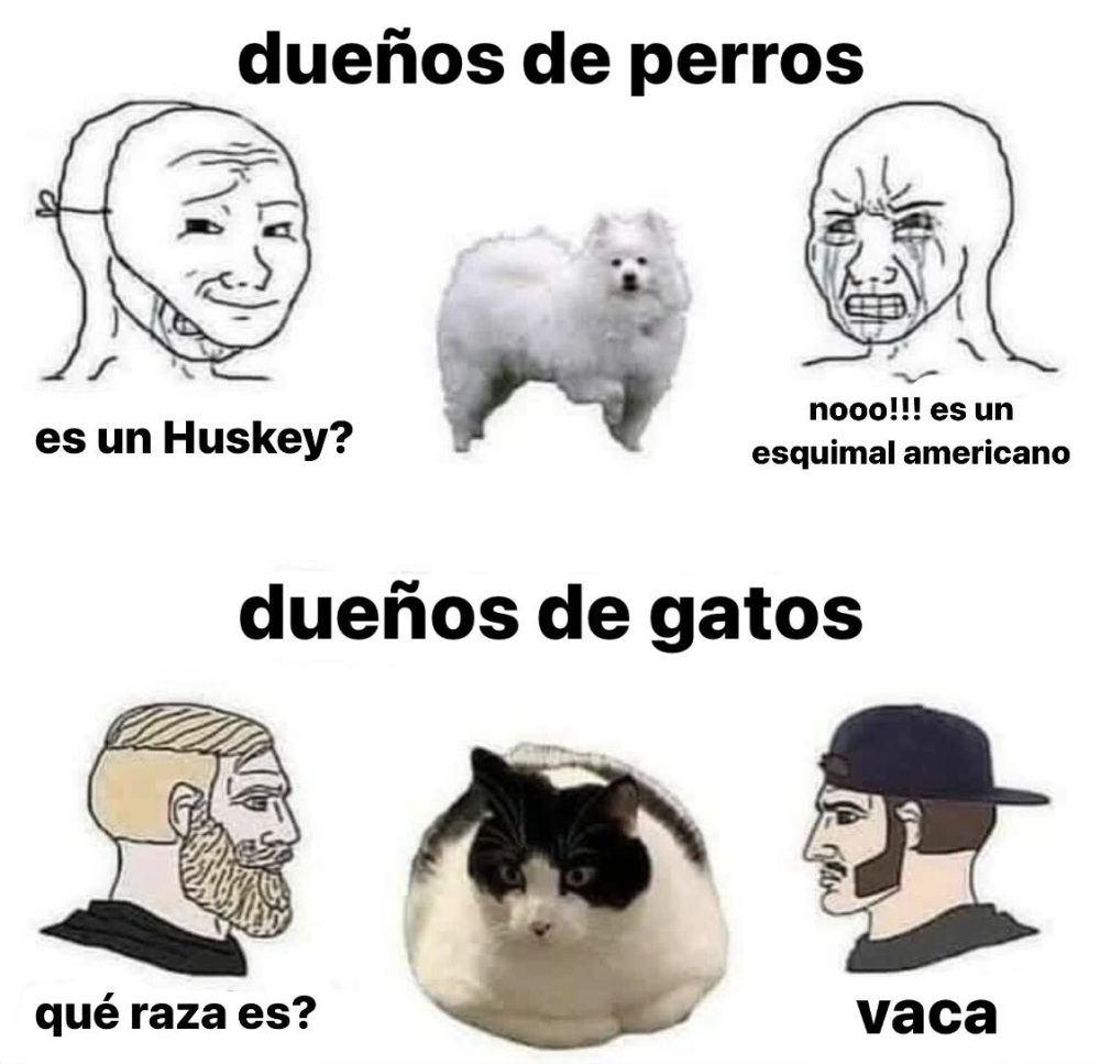Dueños de perros vs dueños de gatos.