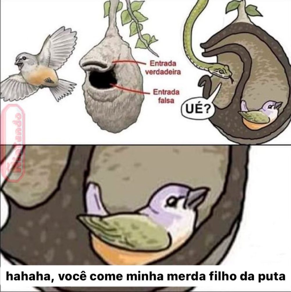 El meme en el idioma correcto.