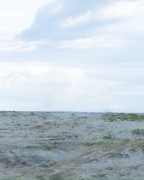 "¿Alguien puede eliminar con Photoshop al chico que está detrás de mi novia y de mí?"