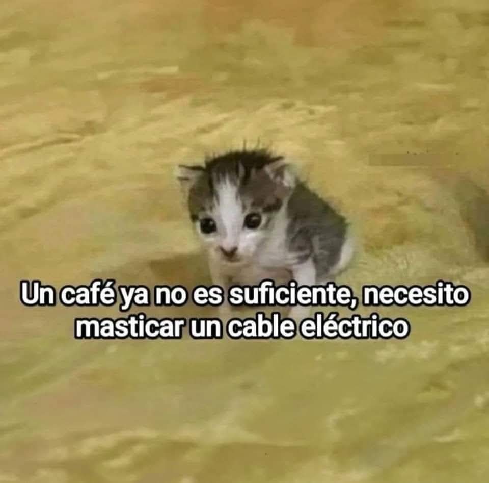 Buenos días.