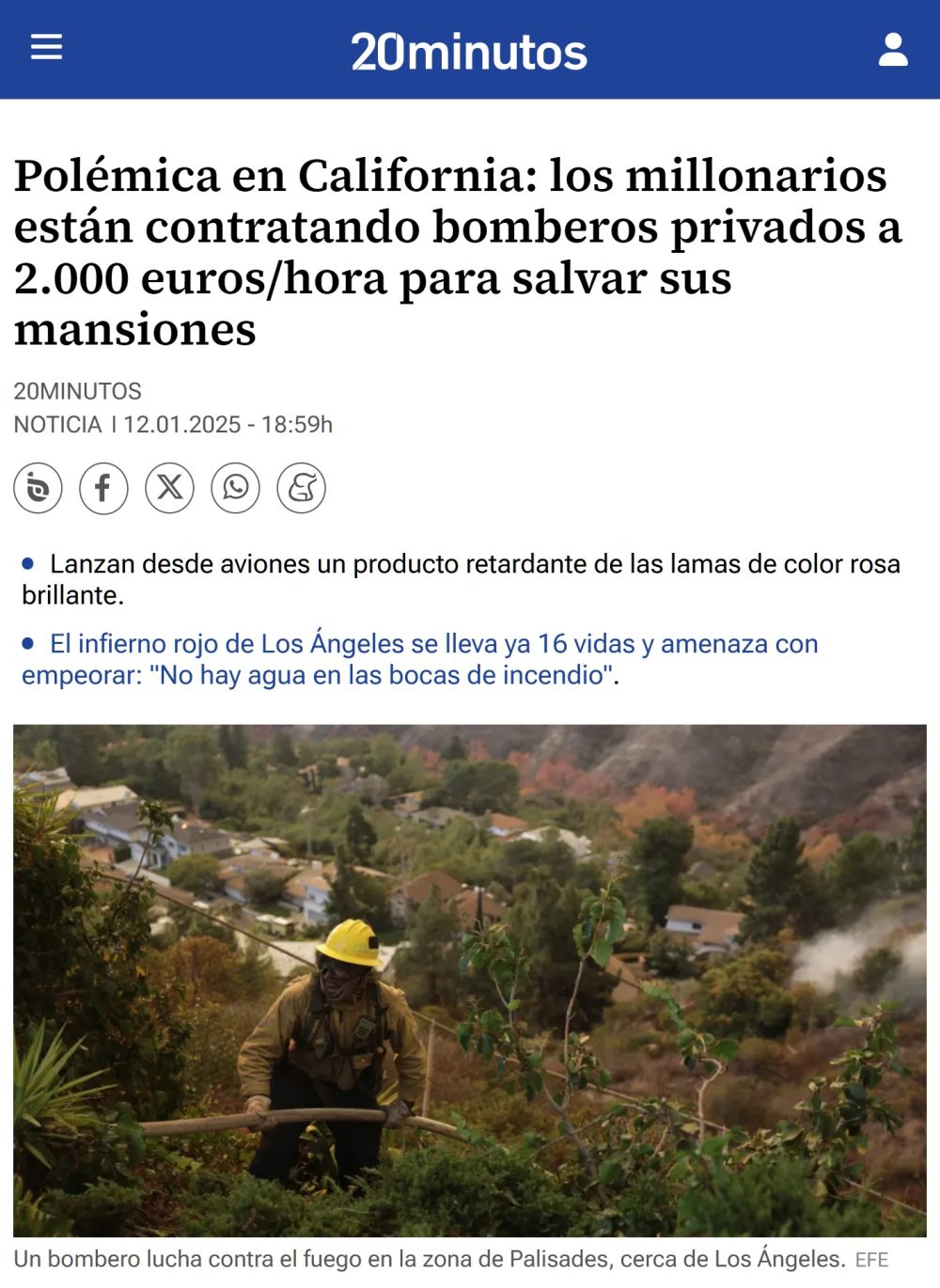 Estoy seguro de que esos bomberos privados no pierden mucho tiempo con la diversidad...