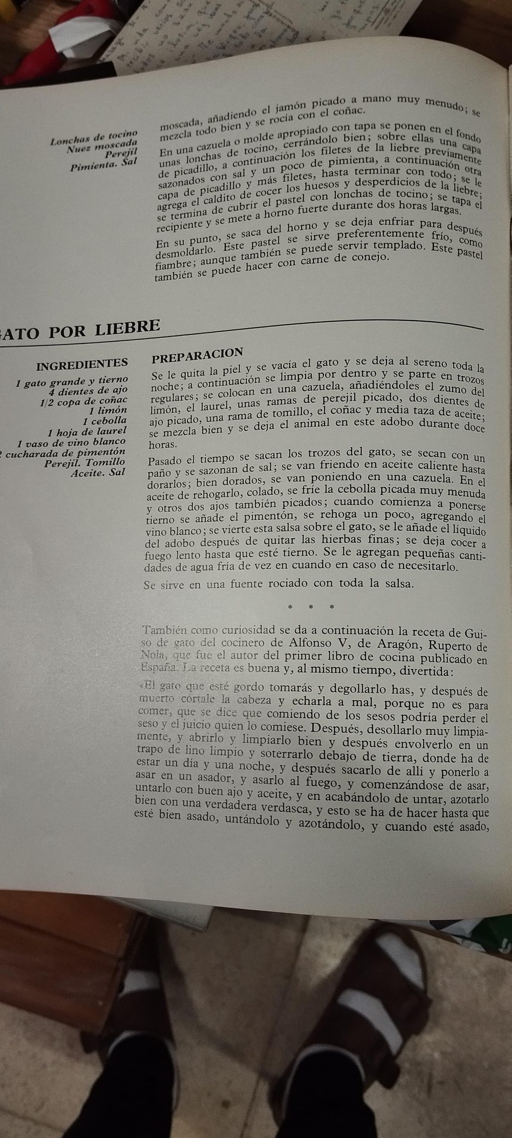 Receta de libro de cocina del 1970 de España que te enseña como cocinar un gato.