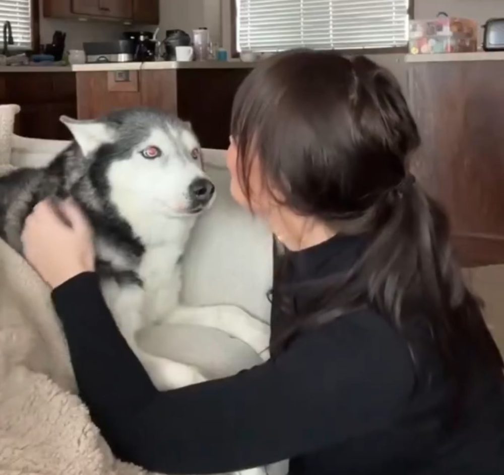 Hoja de reclamaciones.